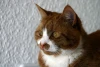 2006-10-15_027.jpg