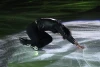 Stéphane Lambiel "My Body Is A Cage"