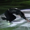 Stéphane Lambiel "My Body Is A Cage"